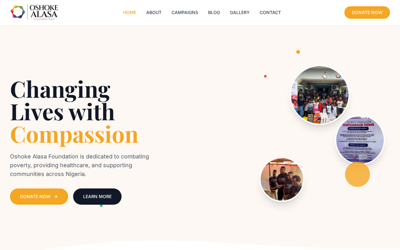 Oshoke Alasa Foundation preview